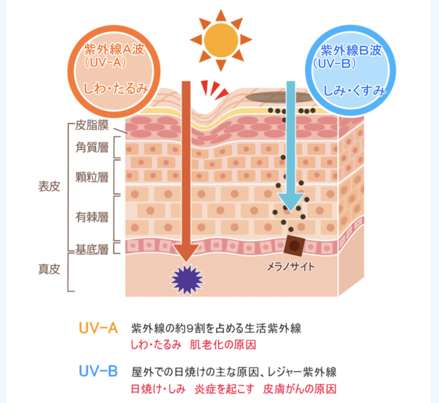 自爪育成の為のポイント